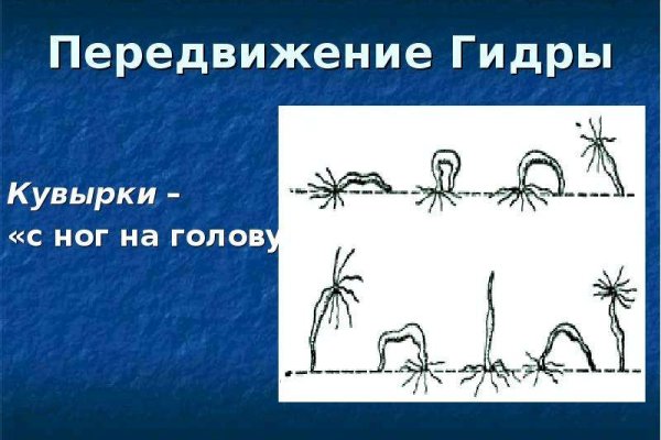 Kraken даркнет что это