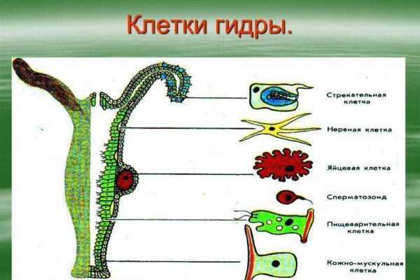 Кракен правила площадки