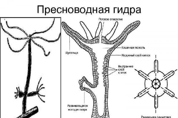 Darknet магазин