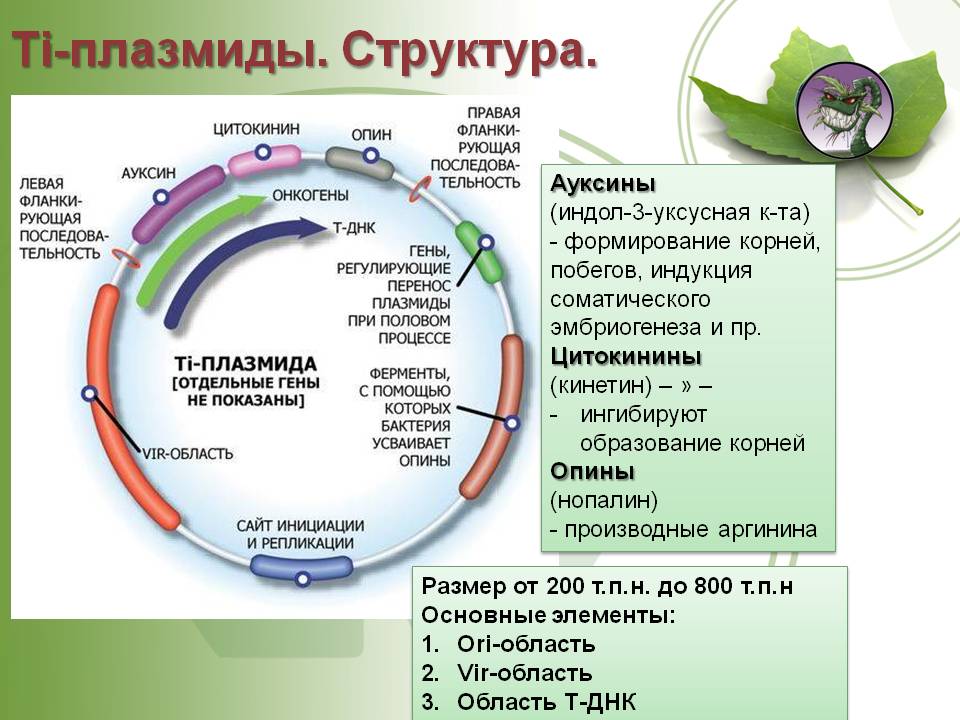 Сайт krn