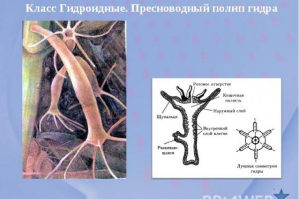 Что продает маркетплейс кракен