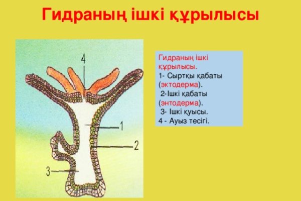 Кракен клирнет